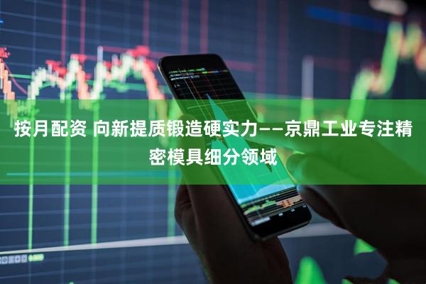 按月配资 向新提质锻造硬实力——京鼎工业专注精密模具细分领域