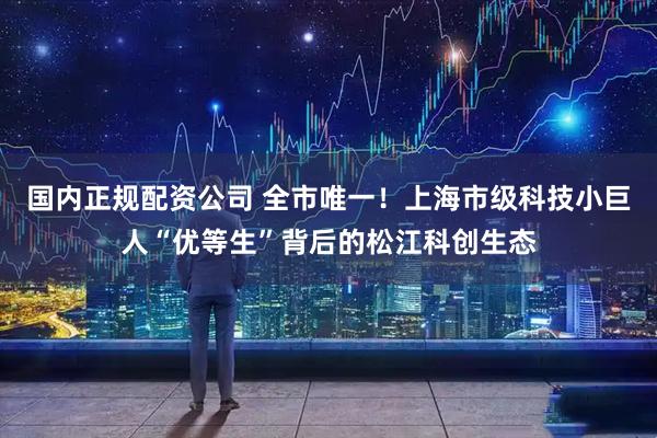 国内正规配资公司 全市唯一！上海市级科技小巨人“优等生”背后的松江科创生态